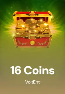 16Coins94